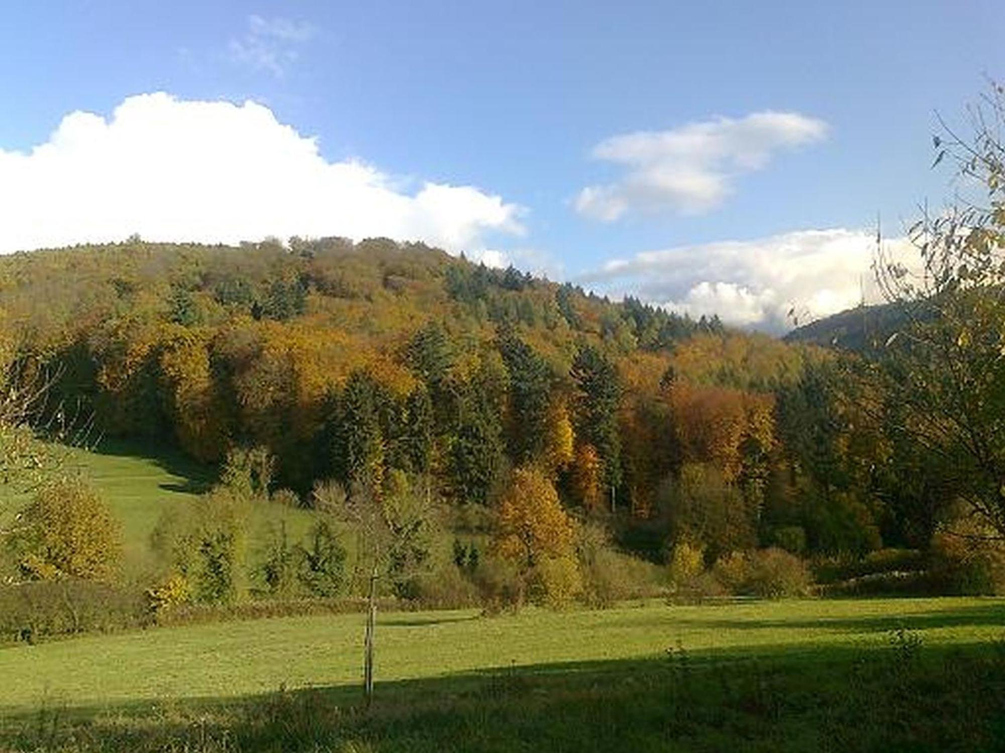 Апартаменти Rosenhof Broggingen Гербольцгайм Екстер'єр фото
