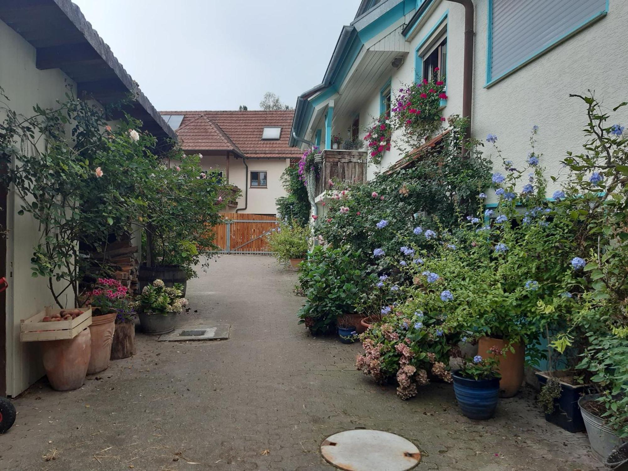 Апартаменти Rosenhof Broggingen Гербольцгайм Екстер'єр фото